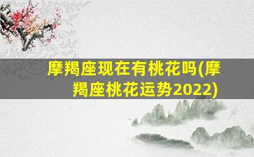 摩羯座现在有桃花吗(摩羯座桃花运势2022)