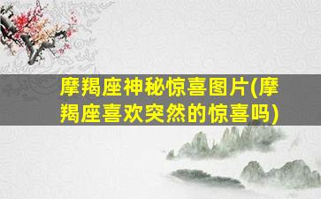 摩羯座神秘惊喜图片(摩羯座喜欢突然的惊喜吗)