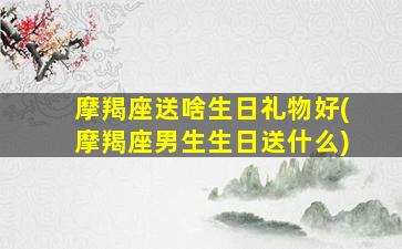 摩羯座送啥生日礼物好(摩羯座男生生日送什么)