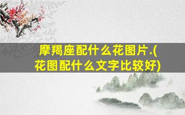 摩羯座配什么花图片.(花图配什么文字比较好)