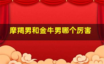 摩羯男和金牛男哪个厉害