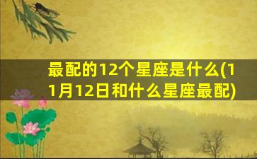 最配的12个星座是什么(11月12日和什么星座最配)