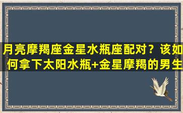 月亮摩羯座金星水瓶座配对？该如何拿下太阳水瓶+金星摩羯的男生