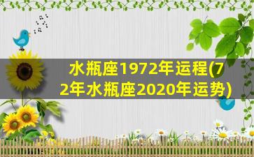 水瓶座1972年运程(72年水瓶座2020年运势)