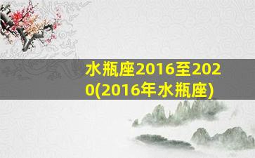 水瓶座2016至2020(2016年水瓶座)