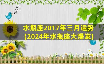 水瓶座2017年三月运势(2024年水瓶座大爆发)