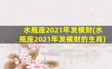 水瓶座2021年发横财(水瓶座2021年发横财的生肖)