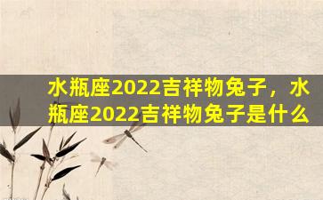 水瓶座2022吉祥物兔子，水瓶座2022吉祥物兔子是什么