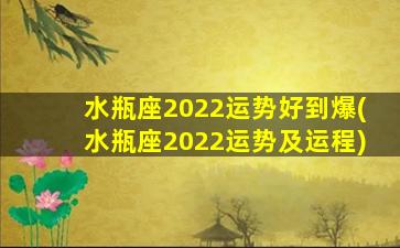 水瓶座2022运势好到爆(水瓶座2022运势及运程)