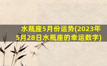 水瓶座5月份运势(2023年5月28日水瓶座的幸运数字)