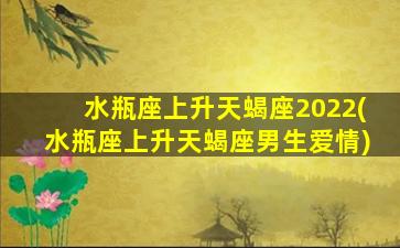 水瓶座上升天蝎座2022(水瓶座上升天蝎座男生爱情)