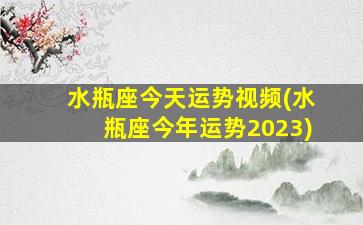 水瓶座今天运势视频(水瓶座今年运势2023)