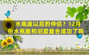 水瓶座以后的伴侣？12月份水瓶能和旧爱复合成功了吗