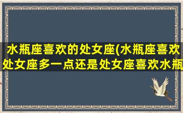 水瓶座喜欢的处女座(水瓶座喜欢处女座多一点还是处女座喜欢水瓶座多一点)