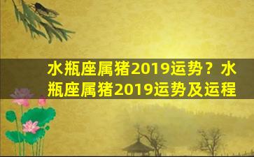 水瓶座属猪2019运势？水瓶座属猪2019运势及运程