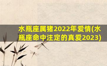 水瓶座属猪2022年爱情(水瓶座命中注定的真爱2023)