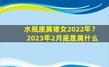 水瓶座属猪女2022年？2023年2月底是属什么