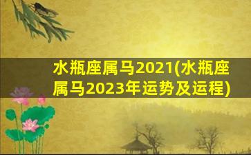 水瓶座属马2021(水瓶座属马2023年运势及运程)