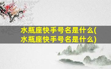 水瓶座快手号名是什么(水瓶座快手号名是什么)