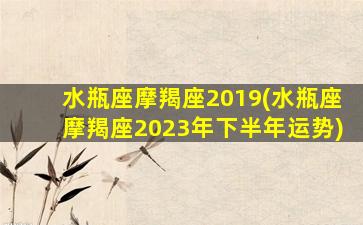 水瓶座摩羯座2019(水瓶座摩羯座2023年下半年运势)