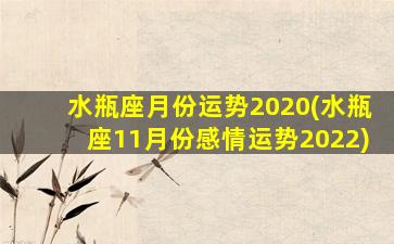 水瓶座月份运势2020(水瓶座11月份感情运势2022)