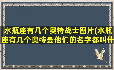 水瓶座有几个奥特战士图片(水瓶座有几个奥特曼他们的名字都叫什么)