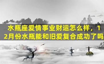 水瓶座爱情事业财运怎么样，12月份水瓶能和旧爱复合成功了吗