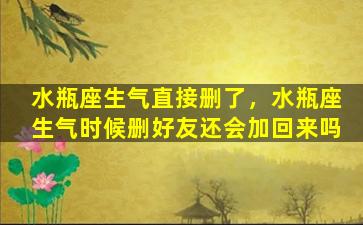 水瓶座生气直接删了，水瓶座生气时候删好友还会加回来吗