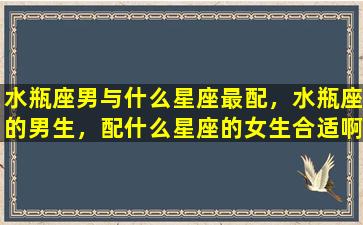 水瓶座男与什么星座最配，水瓶座的男生，配什么星座的女生合适啊