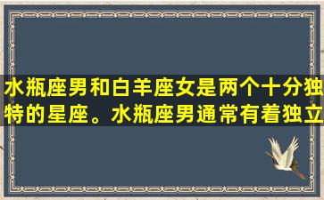 水瓶座男和白羊座女是两个十分独特的星座。水瓶座男通常有着独立、聪明且有创新精神的特点，而白羊座女则通常热情、坚定且易冲动。尽管两个星座初看起来可能有许多不同，但