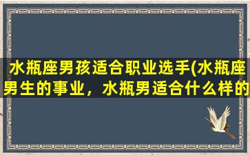 水瓶座男孩适合职业选手(水瓶座男生的事业，水瓶男适合什么样的职业)