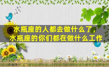 水瓶座的人都去做什么了，水瓶座的你们都在做什么工作