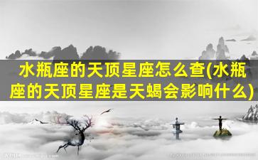 水瓶座的天顶星座怎么查(水瓶座的天顶星座是天蝎会影响什么)