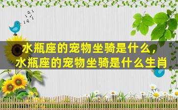 水瓶座的宠物坐骑是什么，水瓶座的宠物坐骑是什么生肖