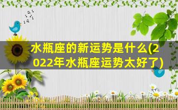 水瓶座的新运势是什么(2022年水瓶座运势太好了)