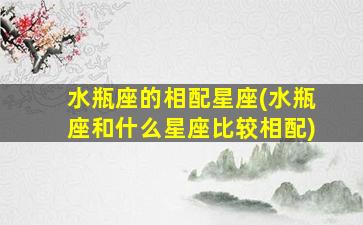 水瓶座的相配星座(水瓶座和什么星座比较相配)