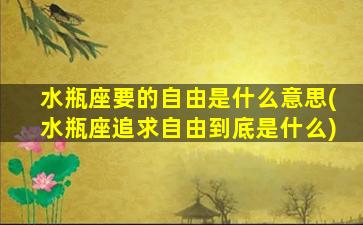 水瓶座要的自由是什么意思(水瓶座追求自由到底是什么)