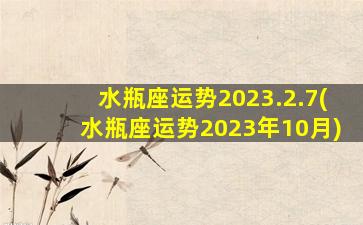 水瓶座运势2023.2.7(水瓶座运势2023年10月)