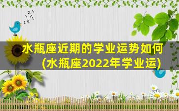 水瓶座近期的学业运势如何(水瓶座2022年学业运)