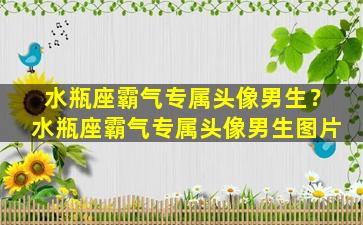 水瓶座霸气专属头像男生？水瓶座霸气专属头像男生图片