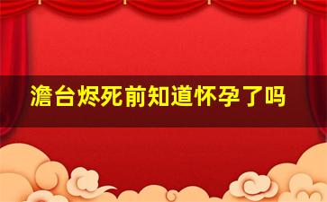 澹台烬死前知道怀孕了吗