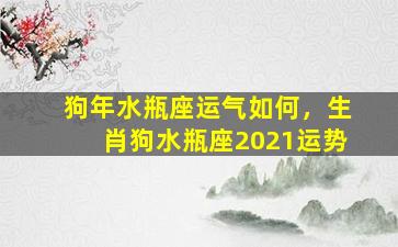 狗年水瓶座运气如何，生肖狗水瓶座2021运势