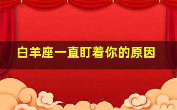 白羊座一直盯着你的原因