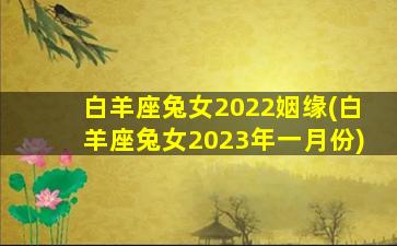 白羊座兔女2022姻缘(白羊座兔女2023年一月份)