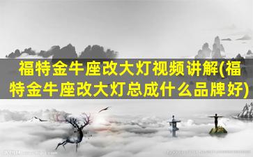 福特金牛座改大灯视频讲解(福特金牛座改大灯总成什么品牌好)