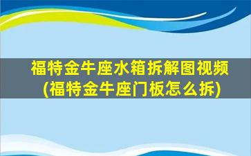 福特金牛座水箱拆解图视频(福特金牛座门板怎么拆)