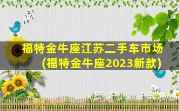 福特金牛座江苏二手车市场(福特金牛座2023新款)