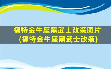 福特金牛座黑武士改装图片(福特金牛座黑武士改装)