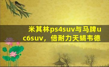 米其林ps4suv与马牌uc6suv，倍耐力天蝎韦德