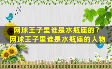 网球王子里谁是水瓶座的？网球王子里谁是水瓶座的人物